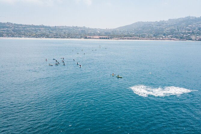 2 Hour Whale Watching Kayak Tour for Two - Check-in at 2261 Avenida De La Playa