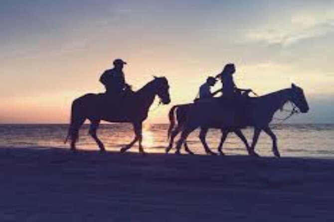 3-Hour Swim with Horses and Romantic Dinner from Hurghada hotels - Key points to know before booking