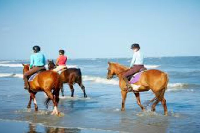 3-Hour Swim with Horses and Romantic Dinner from Hurghada hotels - Riding from Hurghada into the desert