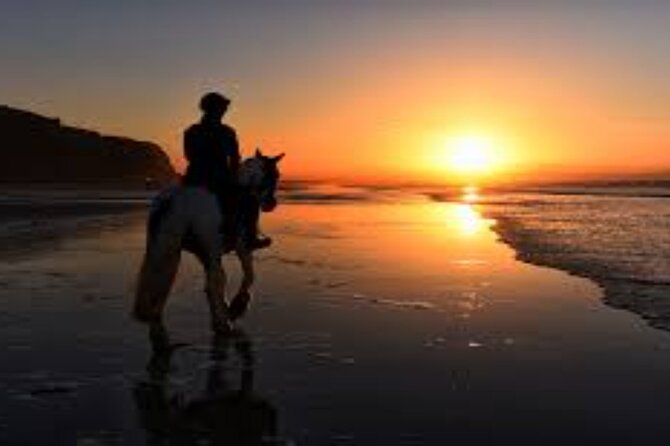 3-Hour Swim with Horses and Romantic Dinner from Hurghada hotels - From desert tracks to the Red Sea