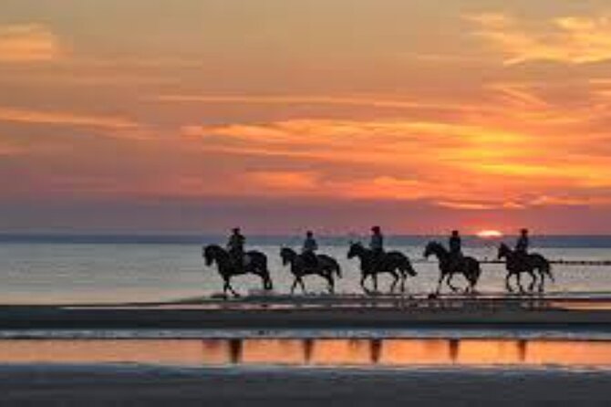 3-Hour Swim with Horses and Romantic Dinner from Hurghada hotels - The ride, transfer, and group size