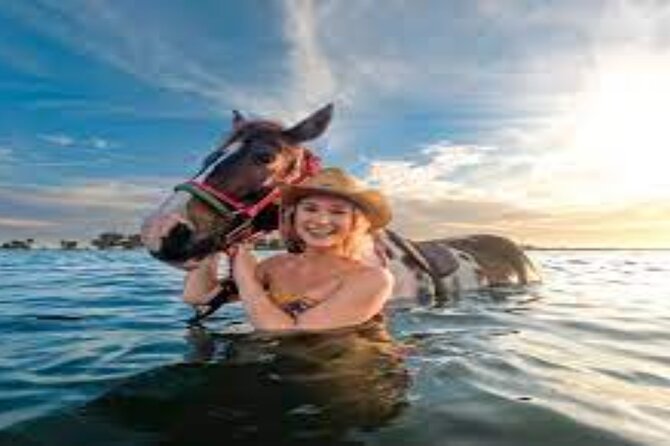 3-Hour Swim with Horses and Romantic Dinner from Hurghada hotels - Practical advice for a smoother outing