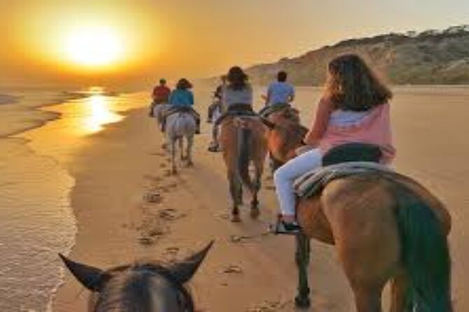 3-Hour Swim with Horses and Romantic Dinner from Hurghada hotels - What the riding instruction is like