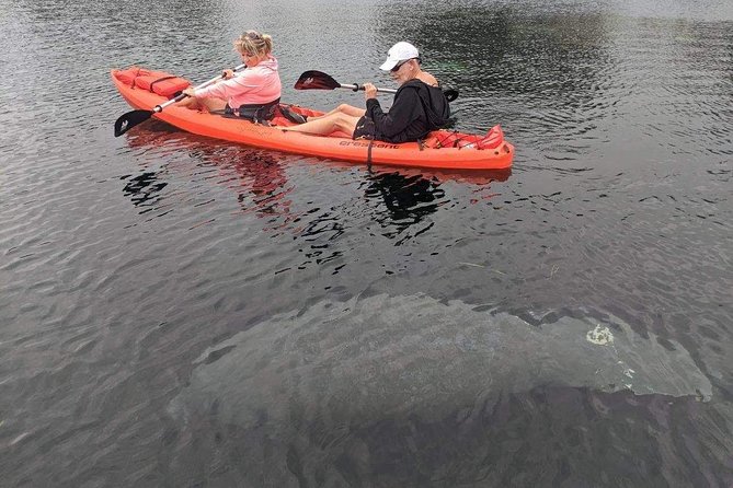4 Hour Tandem Kayak Rental For Two People In Crystal River, Florida - A self-guided way to see Crystal River