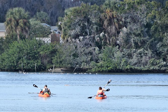 4 Hour Tandem Kayak Rental For Two People In Crystal River, Florida - Four hours on the river, at your own pace