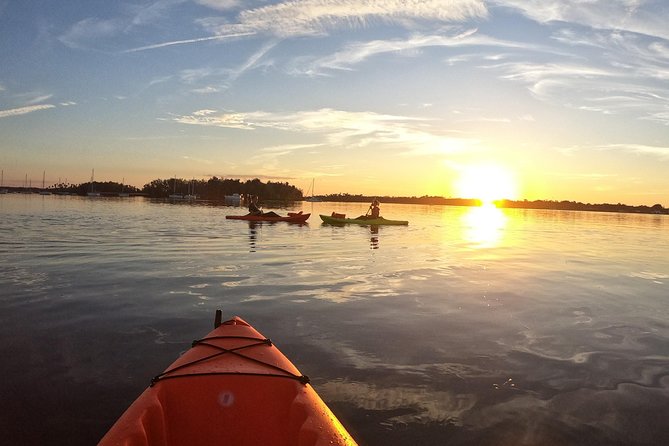 4 Hour Tandem Kayak Rental For Two People In Crystal River, Florida - Who will enjoy this rental most?