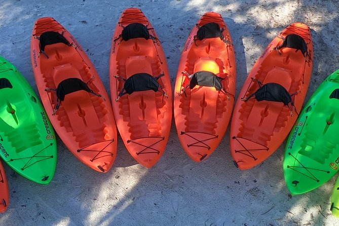4 Hour Tandem Kayak Rental For Two People In Crystal River, Florida - What happens before launch at Pete’s Pier Marina
