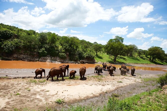 6-Day Honeymoon Safari Tour Package in Tanzania - What six days in northern Tanzania really gives you