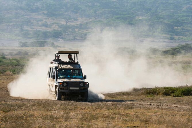 6-Day Honeymoon Safari Tour Package in Tanzania - Day 3: Crossing the highlands into the Serengeti