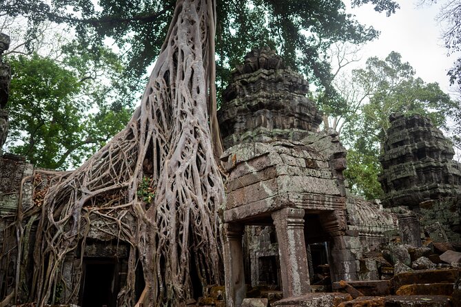 6-hour Angkor Sunrise & Private Tour (Solo, Couple & Family ) - Ta Prohm, where trees meet temple ruins
