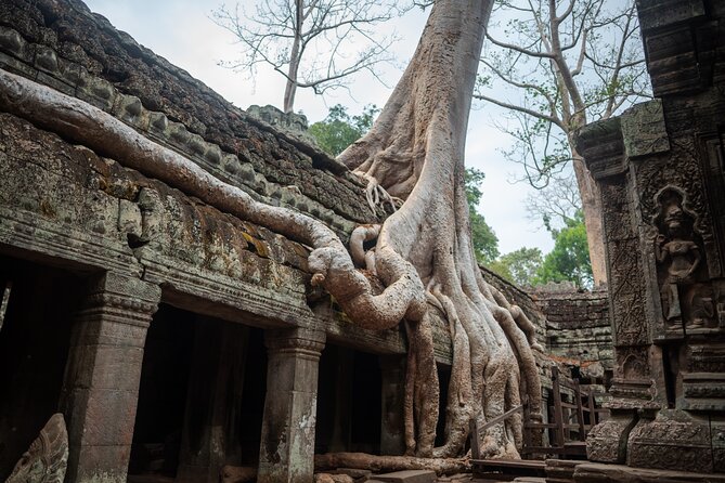 6-hour Angkor Sunrise & Private Tour (Solo, Couple & Family ) - A local coffee break adds a welcome pause