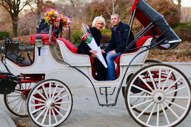 60 min surprise proposal carriage ride - Key points to know before booking