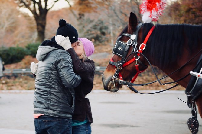60 min surprise proposal carriage ride - Who will get the most from this experience