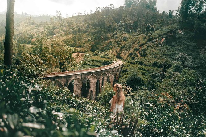8-Day Romantic Honeymoon Tour - Day 7: Tea, Kandy temples, and an evening show