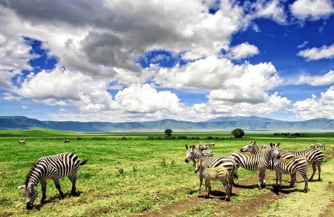 9-Day Ultimate Tanzania Honeymoon Safari Luxury Package - Key details at a glance