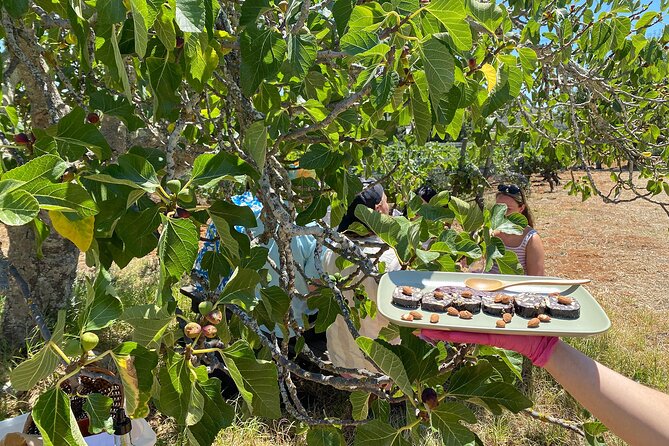 Algarve Romantic Vineyard Picnic in Carvoeiro - Who will enjoy this most?