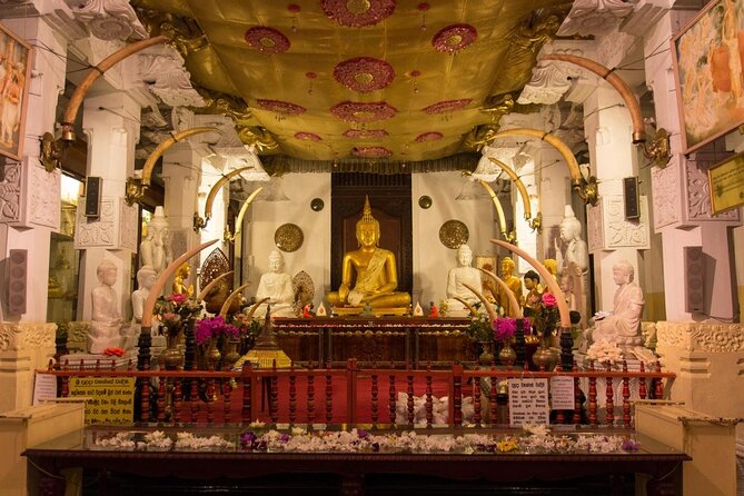 All in one Sri lanka 7nights 8 days for couple price - Key points to know before booking