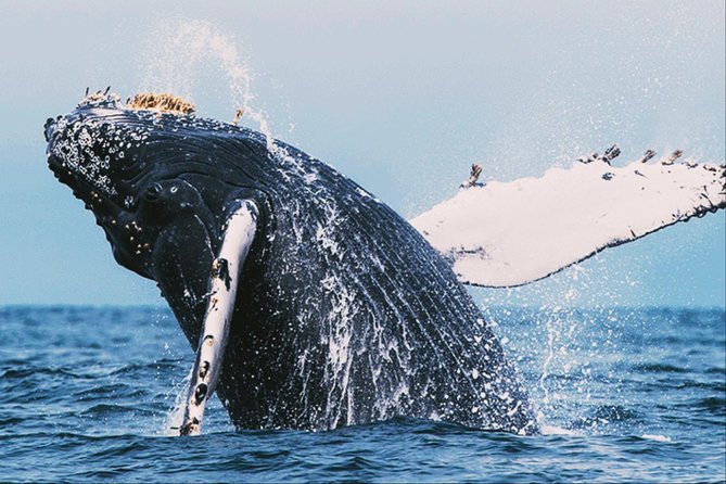 All in one Sri lanka 7nights 8 days for couple price - What this Sri Lanka route is trying to do