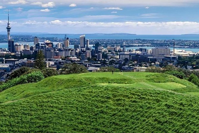 Auckland City Private Tour for Couples. Be chauffeur driven with added extras. - Bastion Point and Auckland’s eastern bays