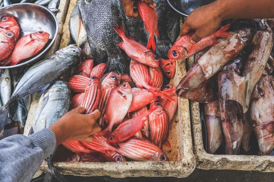 Bali: Jimbaran Seafood Market Tour with Sunset Dinner - From Jimbaran Market to a Table on the Sand