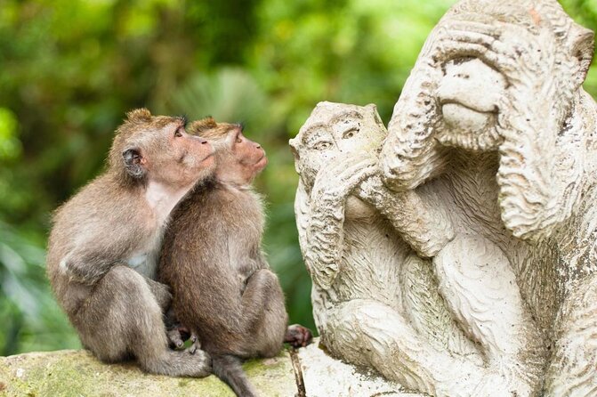 Bali romantic floating breakfast - jungle swing - monkey forest - Ubud art shop. - Key points to know before booking