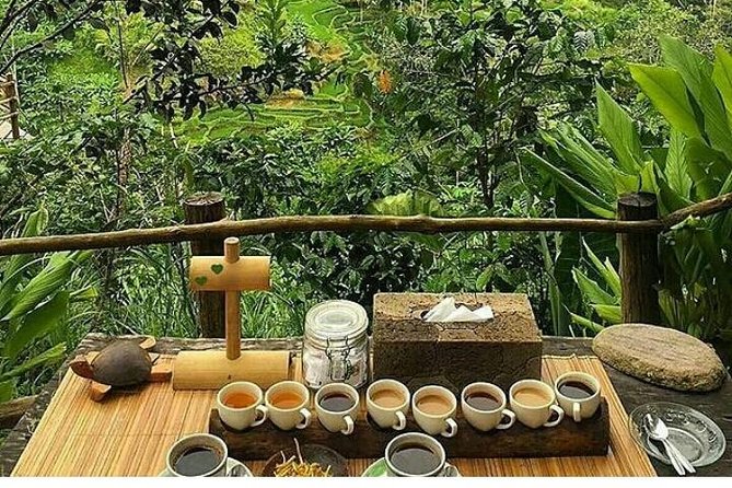 Bali romantic floating breakfast - jungle swing - monkey forest - Ubud art shop. - Jimbaran Beach and the evening seafood scene