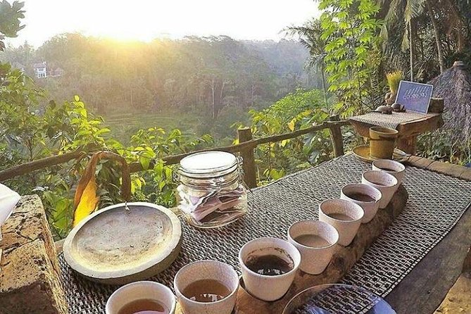 Bali romantic floating breakfast - jungle swing - monkey forest - Ubud art shop. - Who will enjoy this Bali day most