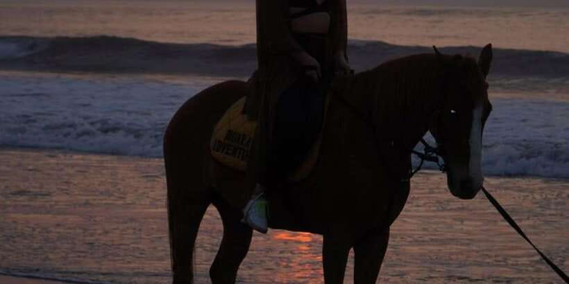 Bali: Romantic Seafood Dinner Jimbaran Beach Include Sunset - The seafood meal: what Package A includes