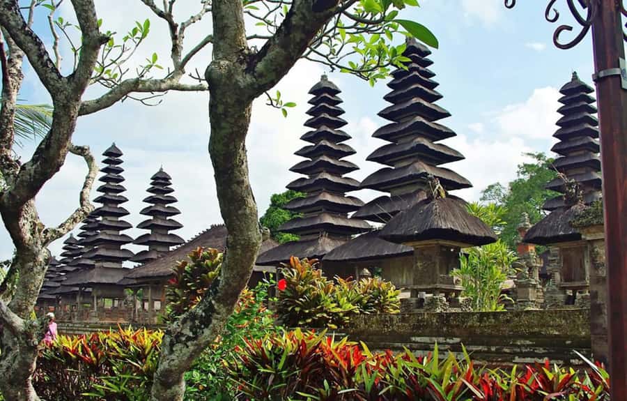 Bali : Tanah Lot Temple Tour with Sunset Dinner - Alas Kedaton, where monkeys roam the grounds