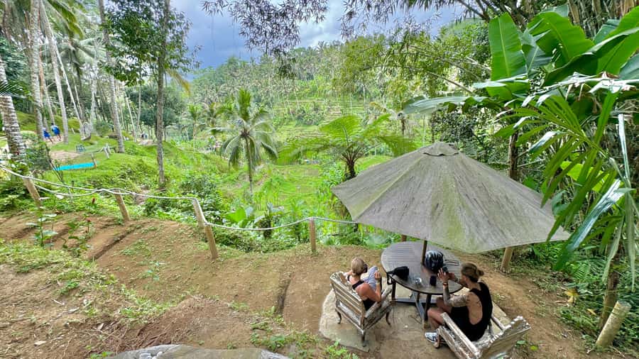 Bali:Traditional Wedding Photoshoot with the Rice Field View - A private walk through the rice terrace