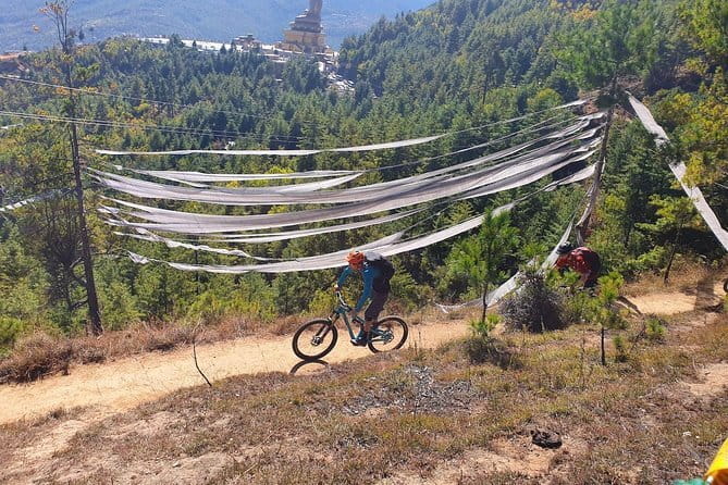 Bhutan Honeymoon Tour - Day 5: Gangtey’s short trail and a local brewery