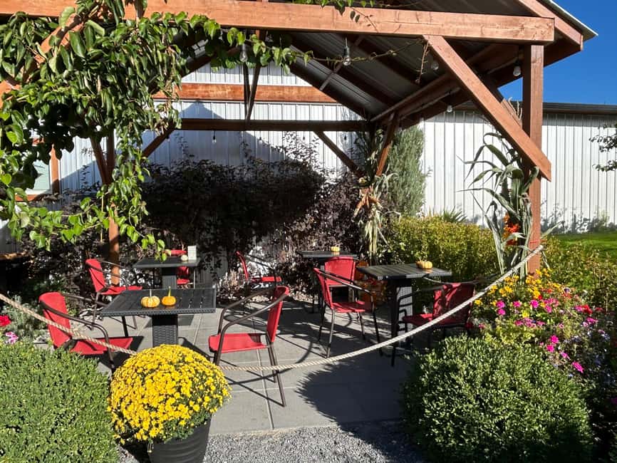 Buzz + Bites! Lunch for Two in East Kelowna - Why Honey Wine Makes This Kelowna Lunch Different