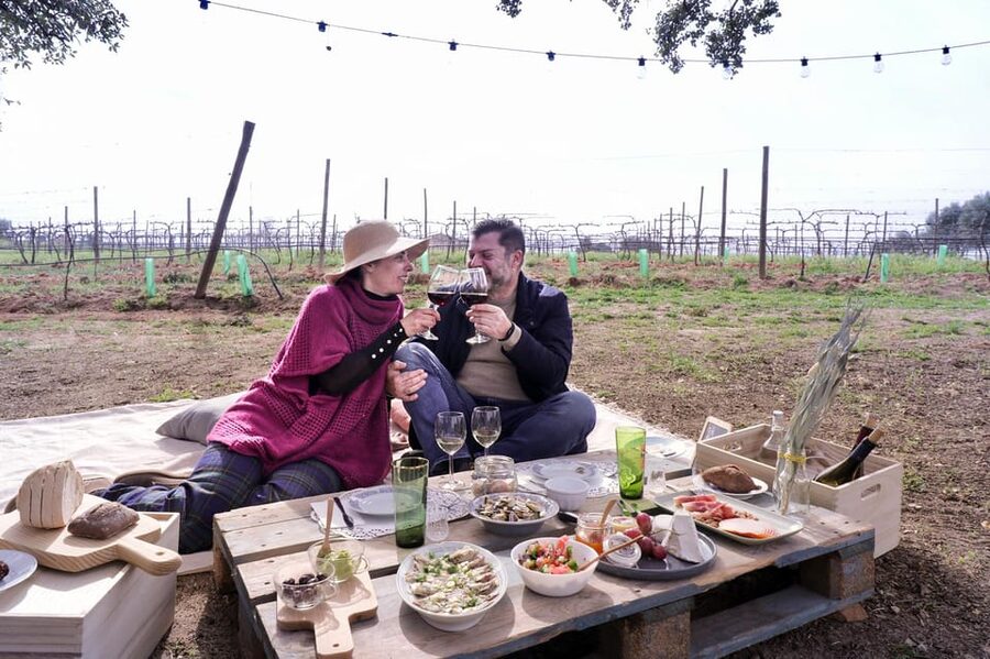 Carvoeiro, Portimão, Lagos: Algarve Romantic Vineyard Picnic - Booking, timing, and useful preparation