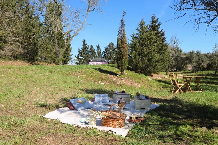 Carvoeiro, Portimão, Lagos: Algarve Romantic Vineyard Picnic - Optional pickup from Algarve resorts