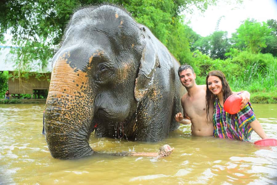 Chiang Mai: Private Elephant Care Experience for Couples - A private elephant day from Chiang Mai
