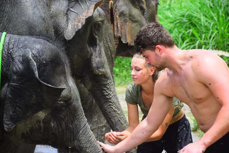 Chiang Mai: Private Elephant Care Experience for Couples - Walking toward the forest