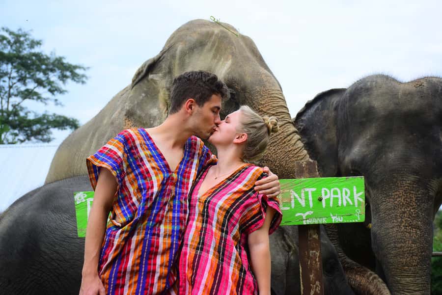 Chiang Mai: Private Elephant Care Experience for Couples - Feeding elephants with fruit and sugar cane