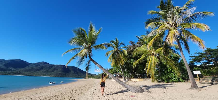 Coastal Beaches Adventures: Dingo Beach & Cape Gloucester - Key points at a glance