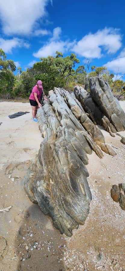 Coastal Beaches Adventures: Dingo Beach & Cape Gloucester - What the guide adds to the experience
