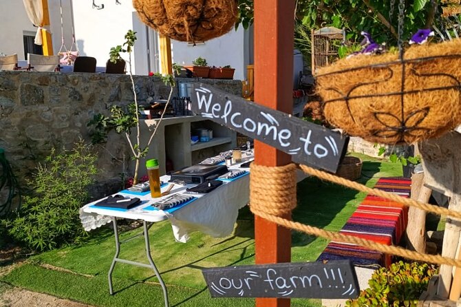 Cooking Class Sunset Dinner and Tour in Paros Farm - Sunset dinner with Parian wine and Greek music