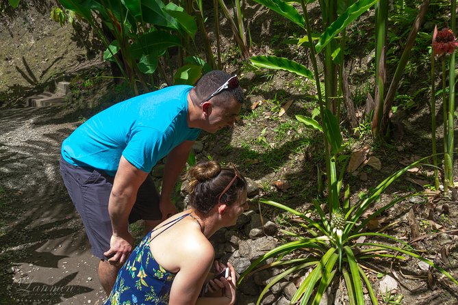Couples Private St. Lucia Highlights Tour - Toraille Waterfall and the practical water question