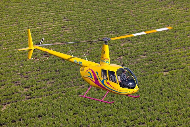 Couples Romantic Picnic - A romantic flight above the Barossa Valley