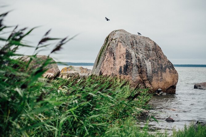 Day Trip to Land of Bays, the Romantic North-Coast from Tallinn - Lahemaa National Park and the road to Käsmu