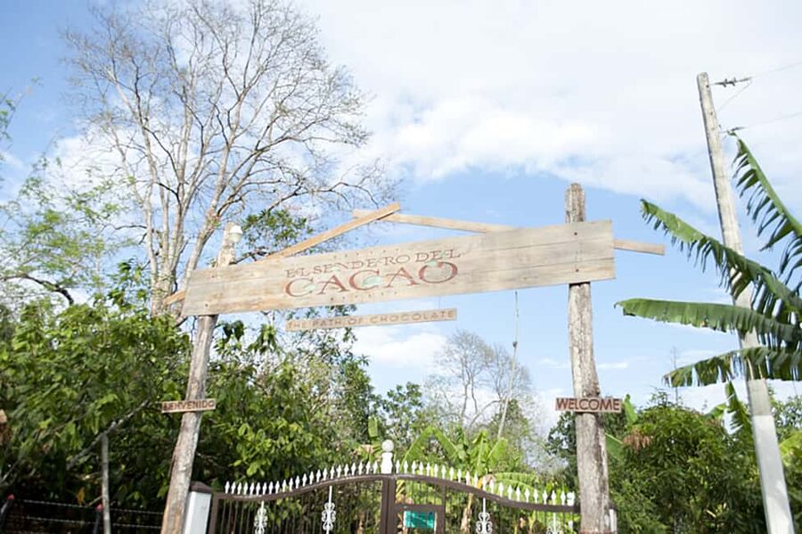 Dominican Republic: 3-Hour Chocolate Lovers Tour - From Cacao Seed to Chocolate Bar