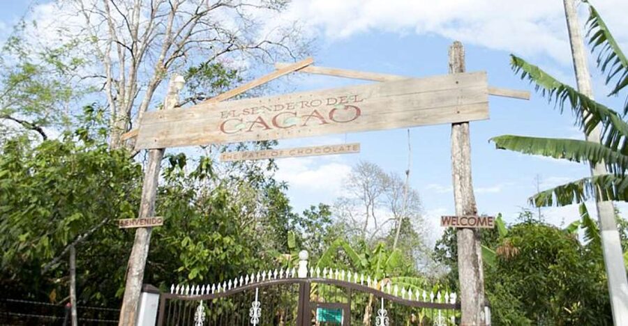 Dominican Republic: 3-Hour Chocolate Lovers Tour - Three Hours, With a Small Timing Question