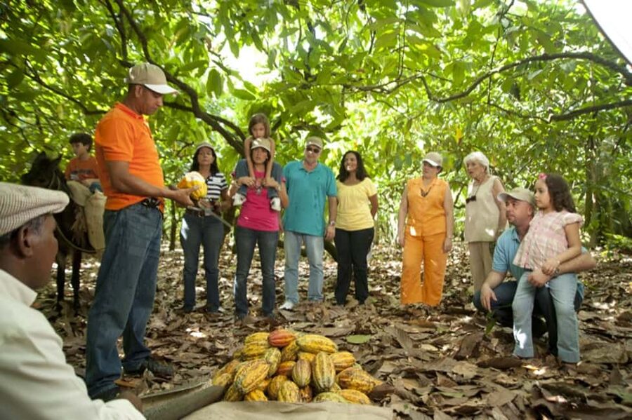 Dominican Republic: 3-Hour Chocolate Lovers Tour - What the Dominican Setting Adds