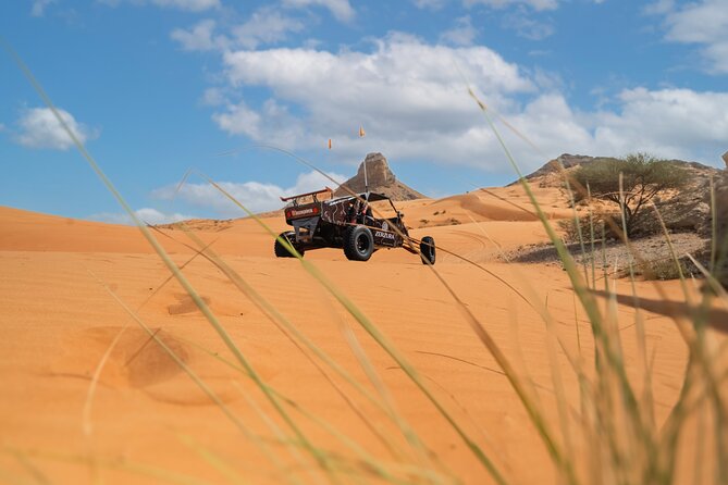 Dune Buggy & Private Dinner in the Dunes in Mleiha National Park - Service, guides, and the private format