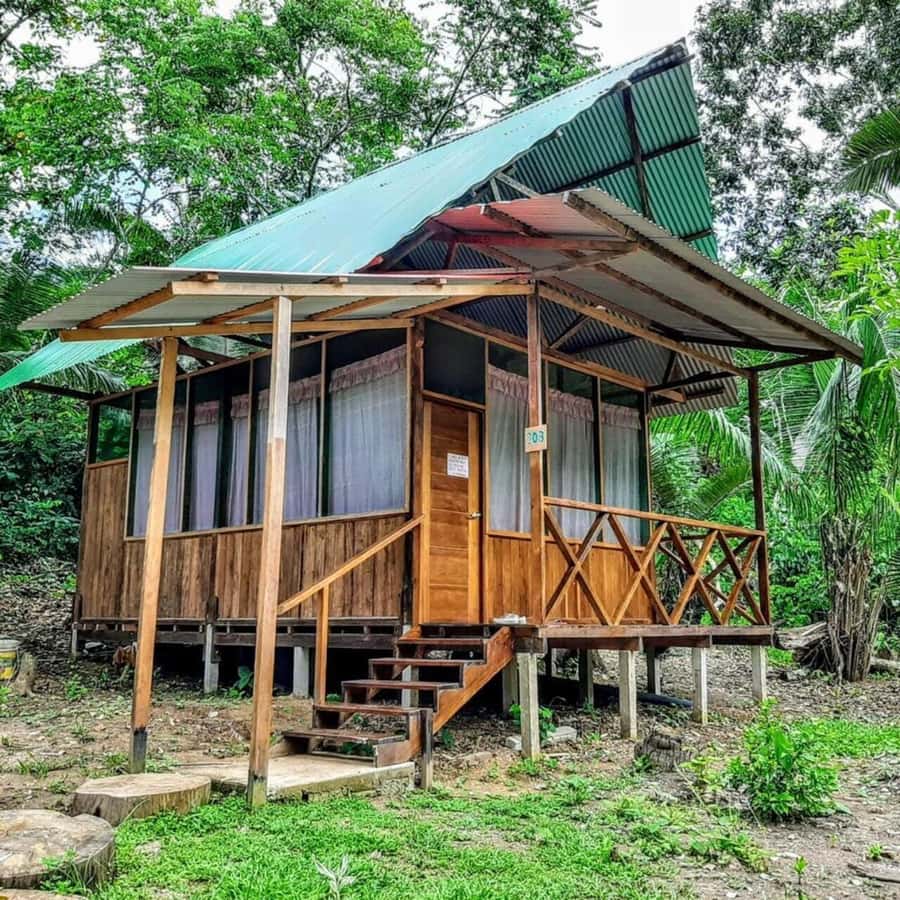 From Cusco: Amazon jungle for two days with sleeper bus and private lodge - Who should book this Amazon trip?