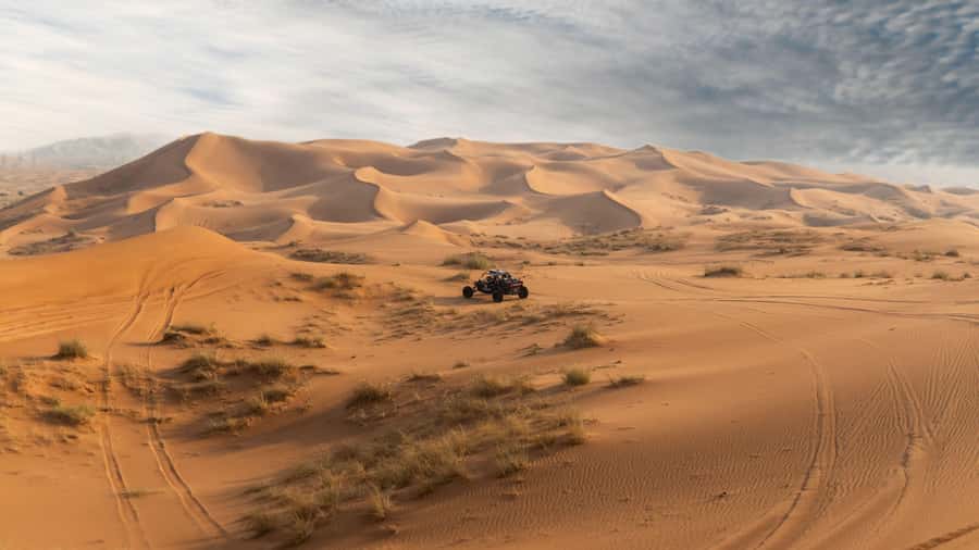 From Dubai: Zerzura Buggy Experience + Private Dinner - Who will enjoy this day most