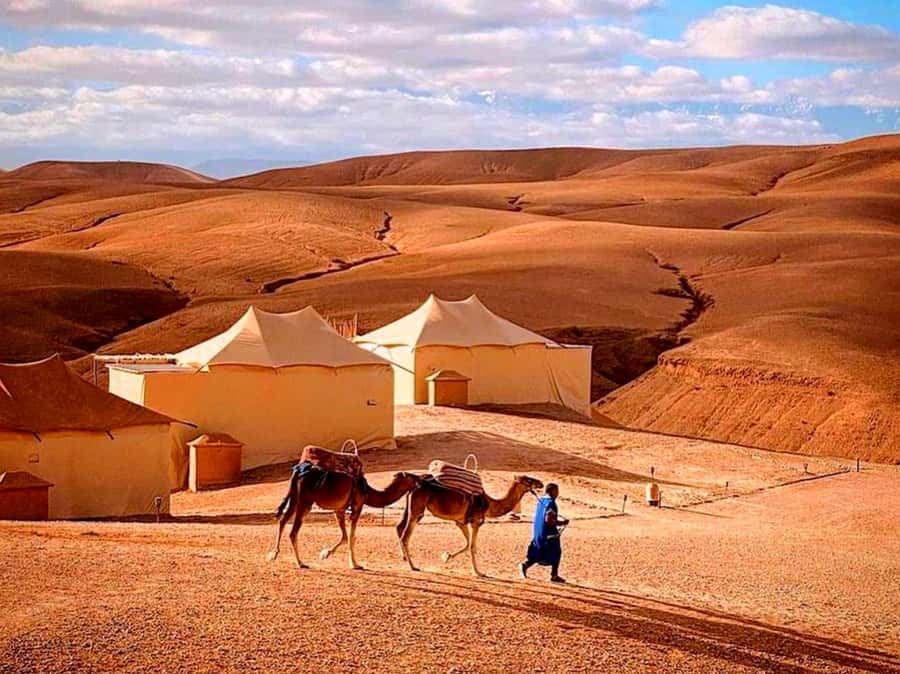 From Marrakech : Agafay Desert Sunset Dinner with Camel Ride - Dinner under the stars